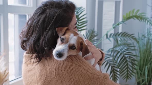 Portrait Jack Russell Dog in Arms Young Beautiful Woman European Appearance