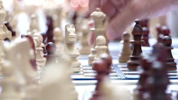 Playing Chess Closeup In The Park