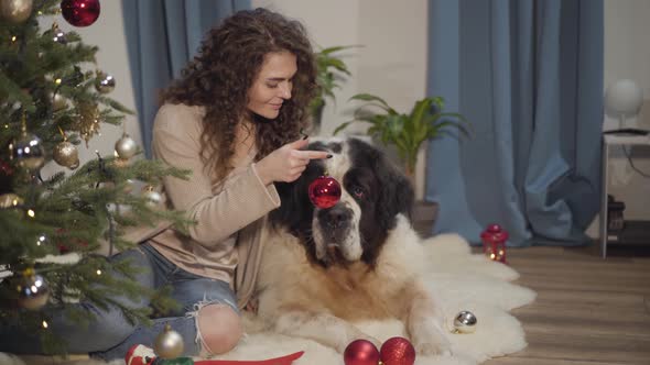 Portrait of Beautiful Caucasian Brunette Woman Decorating Christmas Tree with Her Pet. Big Dog Lying