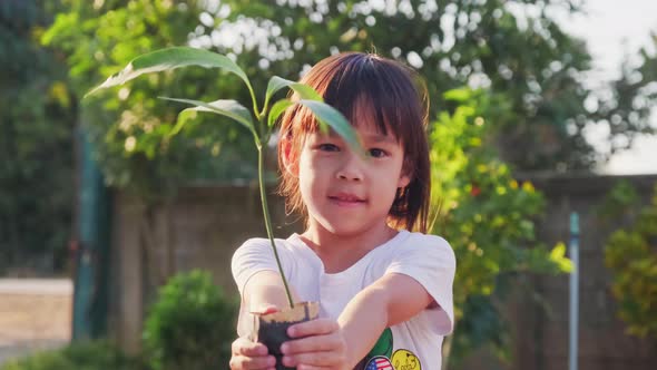 Asian little girl holding young plant in spring outdoors. Environment and save the world concept.