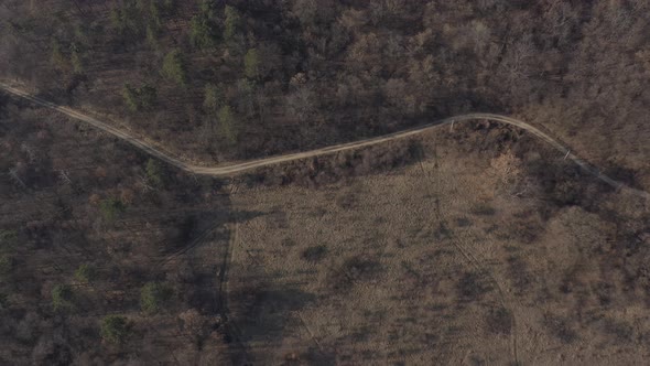 Flight above forest by early spring 4K drone video