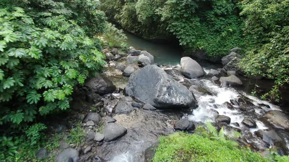 Tiny Waterfall in Tropical Forest