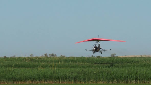 Spraying Rice Fields With Mineral Fertilizers