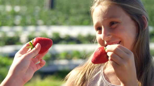 Girls holding strawberries in the farm 4k