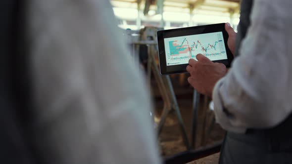 Farm Owner Hands Holding Tablet in Cowshed Closeup