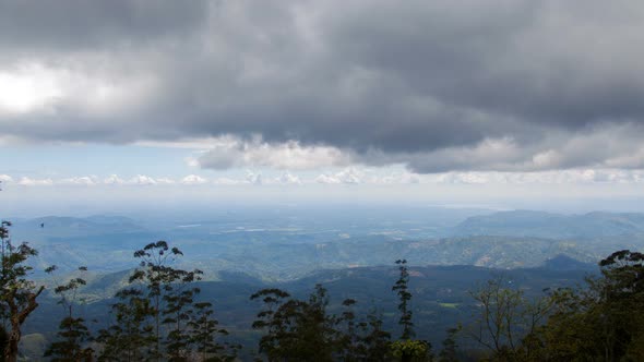 Mountain Forest Landscape Timelapse