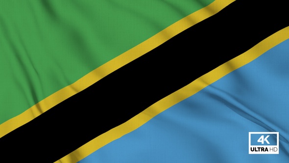 Tanzania Flag Waving Slowly Looped