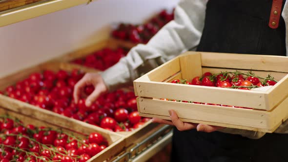 Farmer Add Some Fresh Tomato From the Wooden Box