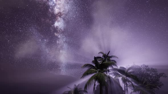 Milky Way Galaxy Over Tropical Rainforest.