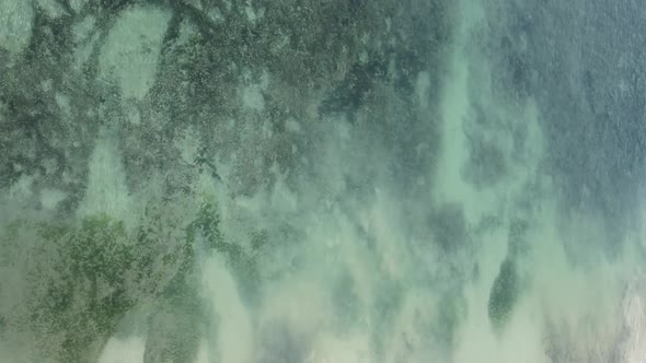 Vertical Video Empty Beach on Zanzibar Island Tanzania Aerial View