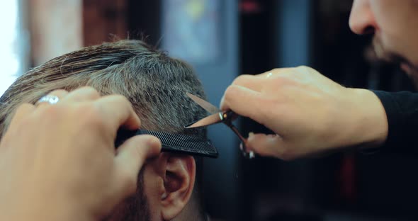 Hairdresser Working with Scissors and Comb Shears Hair