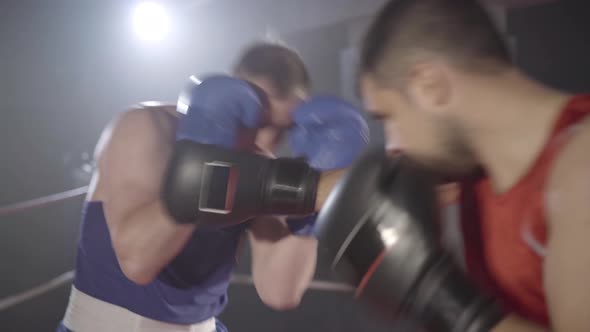 Live Camera Follows Moves of Boxers Fighting in Backlight with Haze at the Background. Portrait of