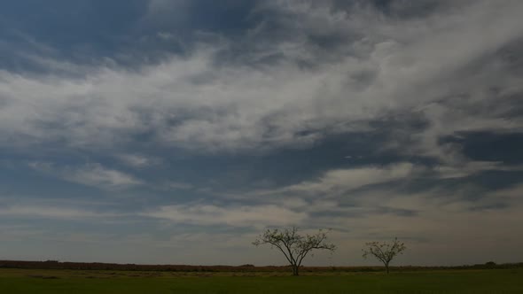 Time lapse view of wispy clouds moving in sky over Ibera Wetlands, Argentina