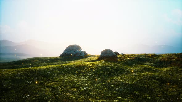 Alpine Meadow with Rocks and Green Grass alt