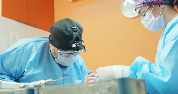 Male Veterinarian in Glasses White Gloves Cap and in Surgical Outfit While Operating the Back Leg of