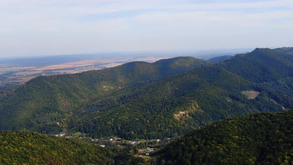 Aerial view mountain with trees in autumn