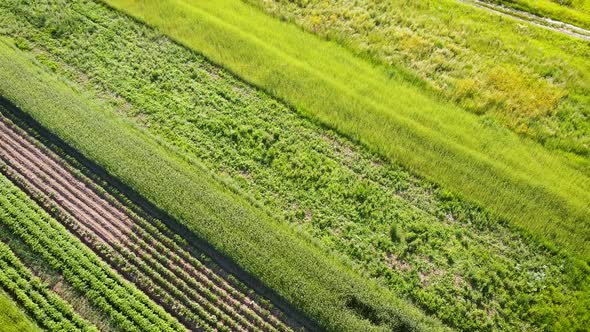 Plots Of Land Countryside