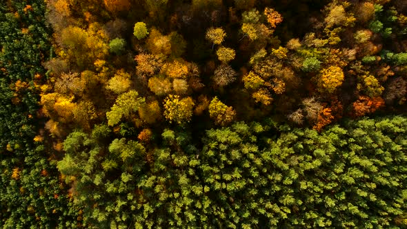 Nature in Autumn Colors