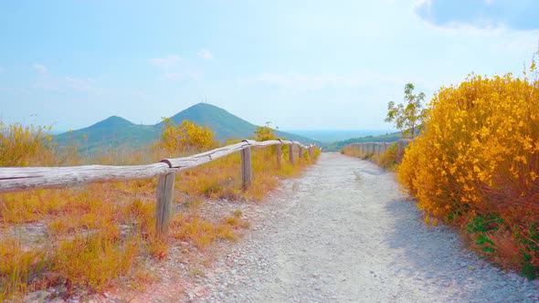 Beautiful Scenic Trail in the Hills with Orange Grass