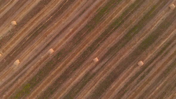 Aerial View of the Pattern of Straw Rolls on the Field