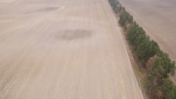 Land in a Plowed Field in Autumn