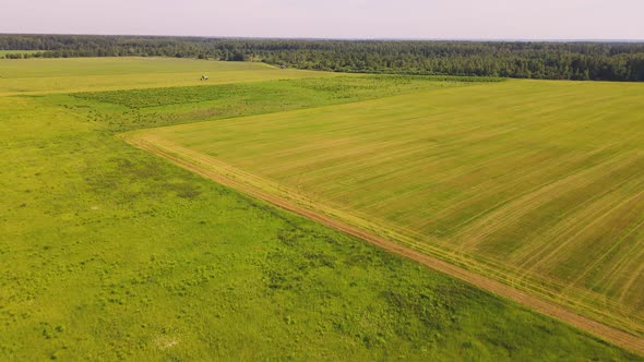 Aerial Panorama of Agricultural Land a Combine is Working in the Distance