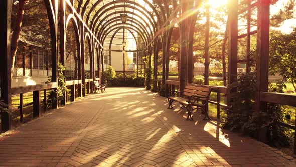 Wooden Archway Tunnel and Warm Sunshine