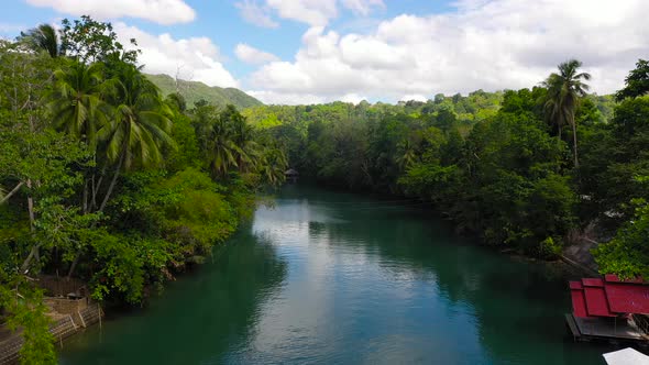 Loboc River in the Jungle