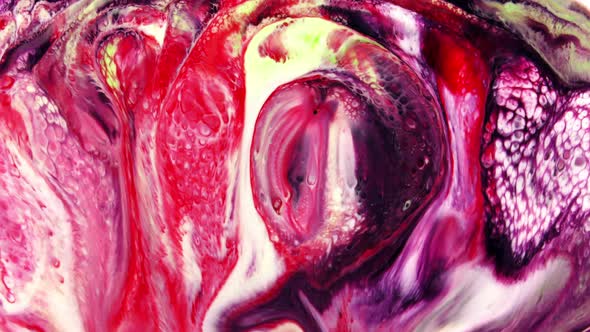 Abstract Colorful Paint Ink Liquid Explode  alt