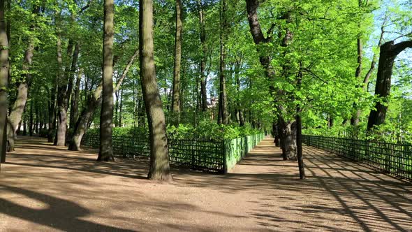 Quiet Alleys in a Green City Park Without People on a Sunny Day