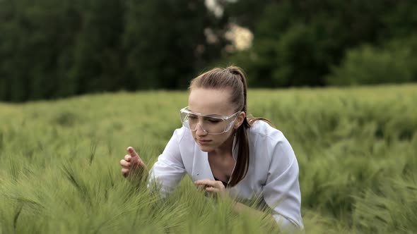 Farmer wearing white bathrobe is checking harvest progress on a tablet at the green wheat field