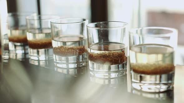 Germination of Seeds of Grain in Clear Glasses on Sail in Restaurant.