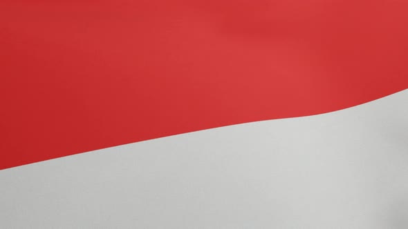 National Flag of Indonesia Waving Original Size and Colors 3D Render Republic of Indonesia Flag