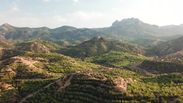 Aerial view of landscape in Cyprus. mountains, terraces and olive trees