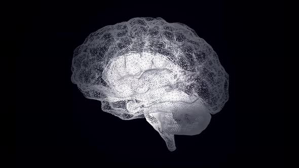 Abstraction of human brain structure