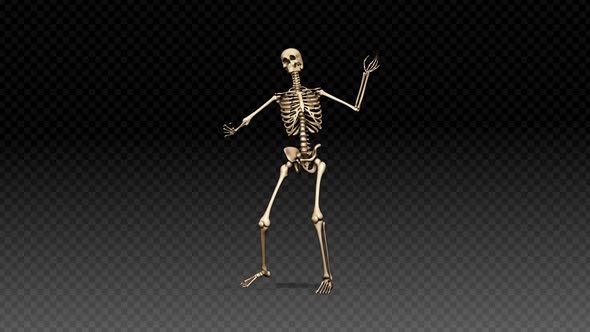 Skeleton Show Dance Ritm alt