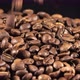 Freshly Roasted Coffee Beans Are Spilled Black Background - VideoHive Item for Sale