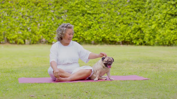 Healthy Asian Elderly woman with white hairs doing exercise and playing with dog pug breed