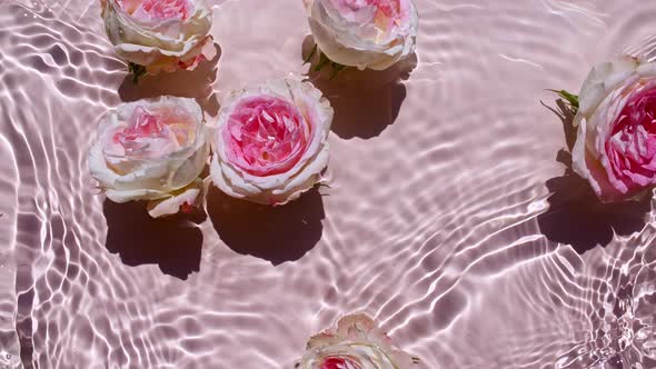 Top View Slow Motion of Waves Water on Pink Background