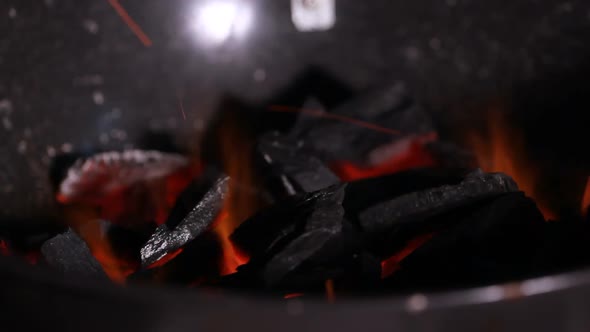 Coals of Firewood is beautifully burning in fire. 