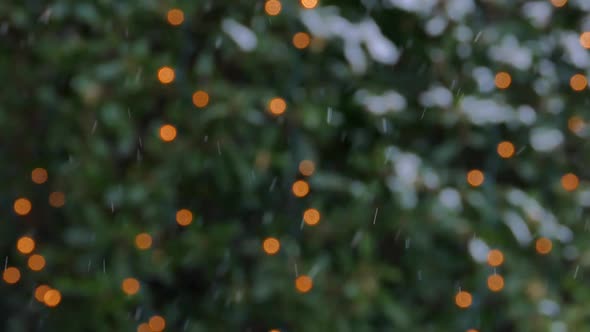 Winter Garden Snowing - Holiday Lights Bokeh - Xmas Background Loop