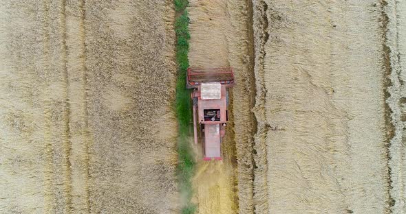 Combine Harvester Working in Agricultural Field