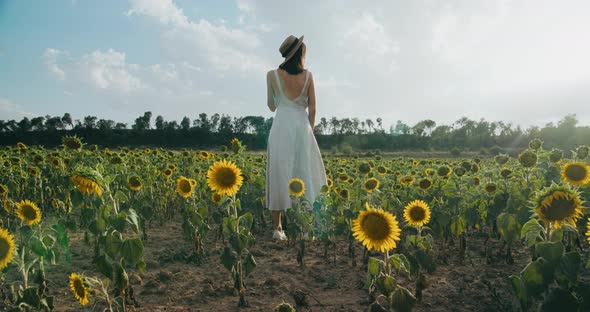 Beautiful Young Adult Woman in Dress Staying on Sunflower Meadow on Travel