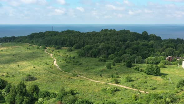 Baltic Coastline with Green Summer Forest and the Sea