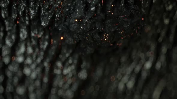 Charred Tree Bark, Glowing Embers