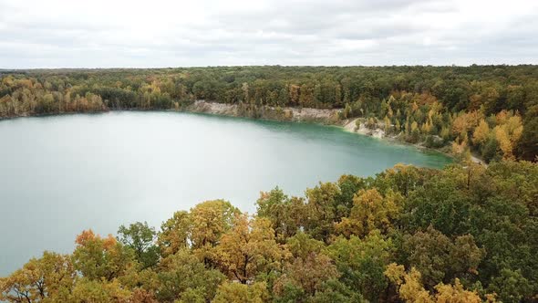 Wild Forest and Lake