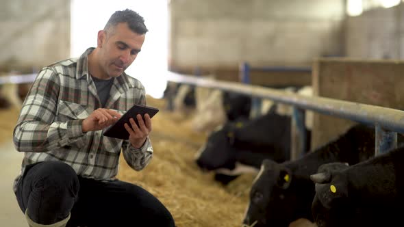 Modern livestock farm and modern farmer.