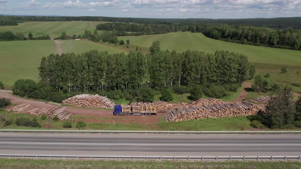 The Deforestation of Siberia Economic and Environmental Problems in Russian Forest Management