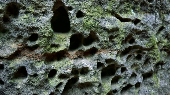 A Wall of a Rock - Closeup