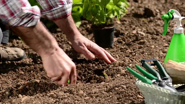 Gardener digging a hole in the ground